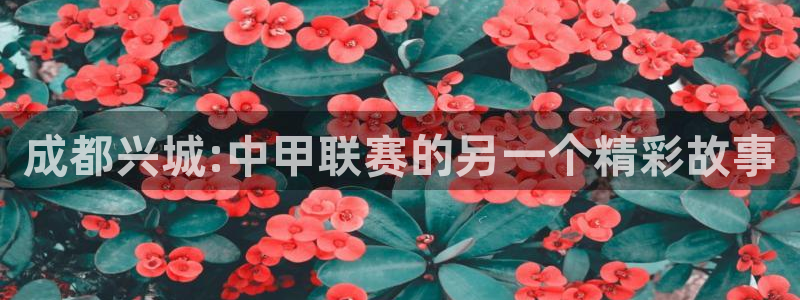  成都兴城:中甲联赛的另一个精彩故事