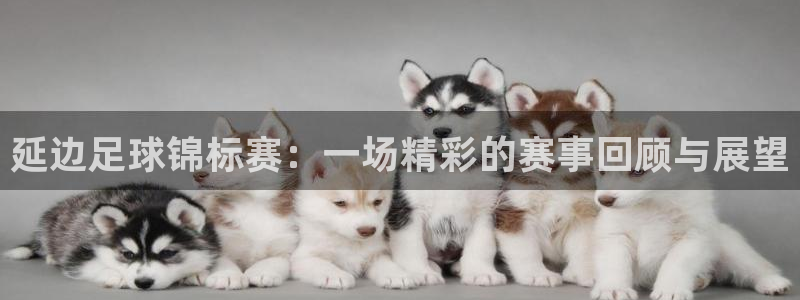  延边足球锦标赛：一场精彩的赛事回顾与展望
