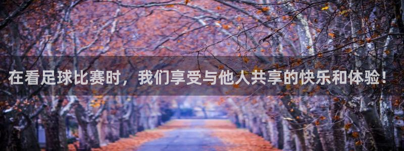 在看足球比赛时，我们享受与他人共享的快乐和体验！