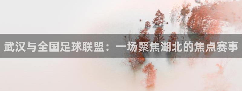 武汉与全国足球联盟：一场聚焦湖北的焦点赛事