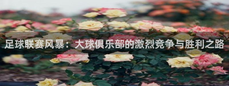  足球联赛风暴：大球俱乐部的激烈竞争与胜利之路
