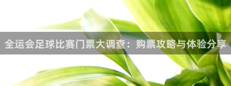  全运会足球比赛门票大调查：购票攻略与体验分享