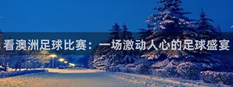 看澳洲足球比赛：一场激动人心的足球盛宴
