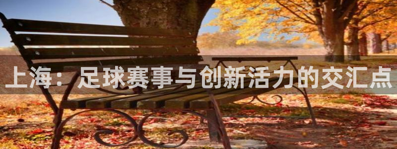  上海：足球赛事与创新活力的交汇点
