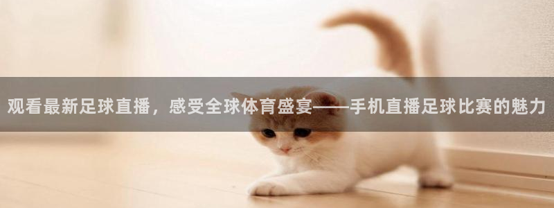  观看最新足球直播，感受全球体育盛宴——手机直播足球比赛的魅力
