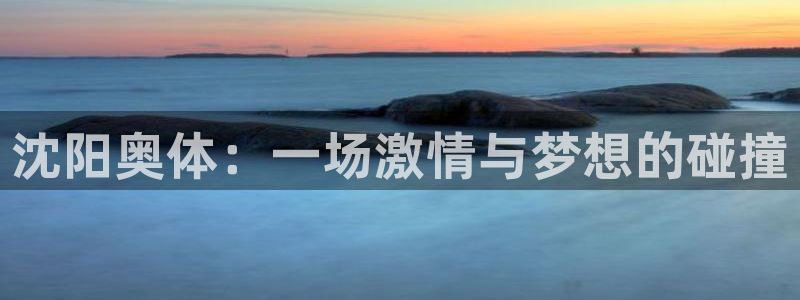 沈阳奥体：一场激情与梦想的碰撞