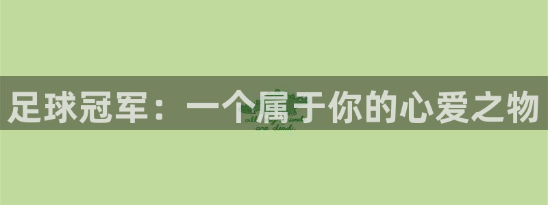  足球冠军：一个属于你的心爱之物
