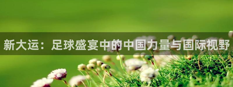  新大运：足球盛宴中的中国力量与国际视野
