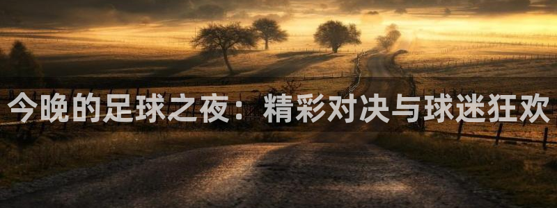  今晚的足球之夜：精彩对决与球迷狂欢