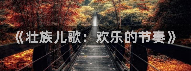 球速体育