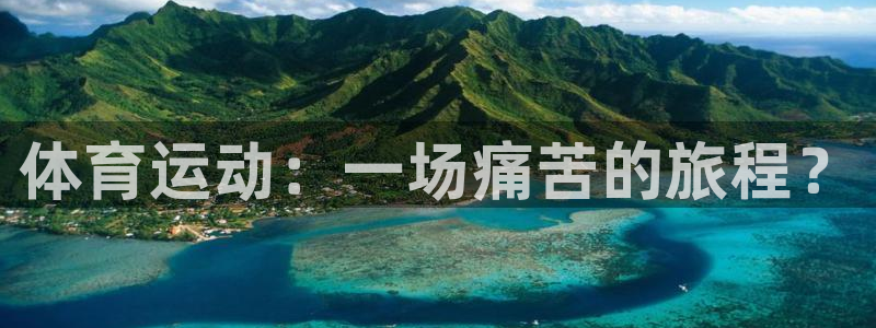 球速体育