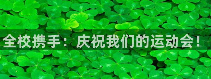 球速体育：全校携手：庆祝我们的运动会！