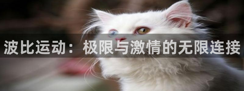 球速体育：波比运动：极限与激情的无限连接