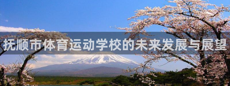 球速体育