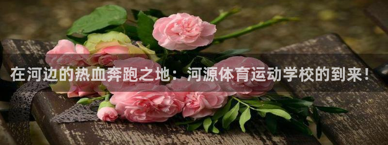 球速体育