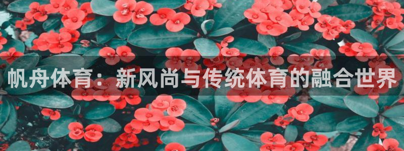 球速体育：帆舟体育：新风尚与传统体育的融合世界