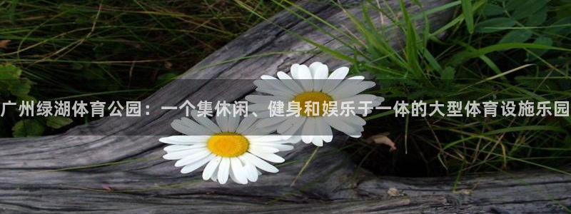球速体育：广州绿湖体育公园：一个集休闲、健身和娱乐于一体的大型体育设施乐园
