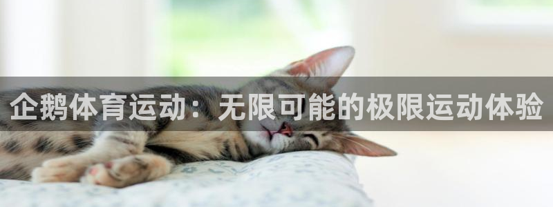 球速体育