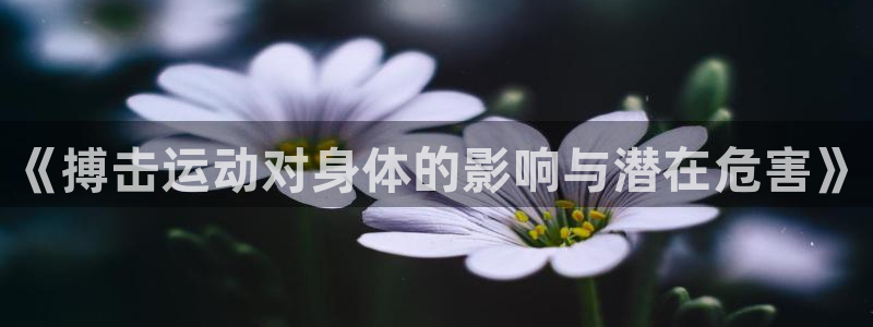 球速体育：《搏击运动对身体的影响与潜在危害》