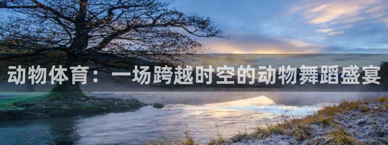 球速体育