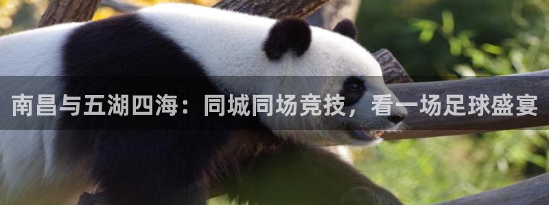南昌与五湖四海：同城同场竞技，看一场