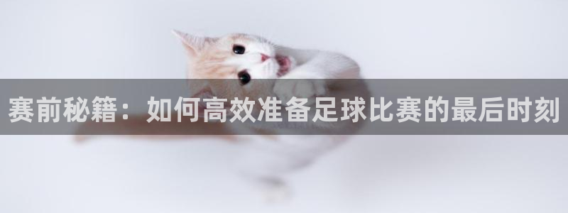赛前秘籍：如何高效准备足球比赛的最后