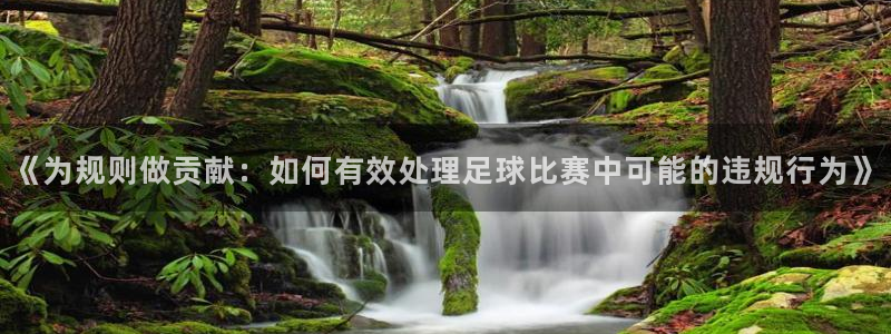 《为规则做贡献：如何有效处理足球比赛
