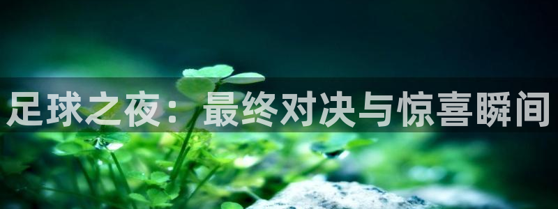 足球之夜：最终对决与惊喜瞬间