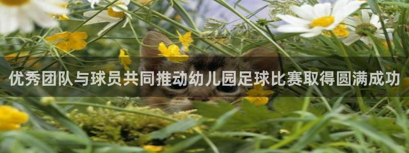 优秀团队与球员共同推动幼儿园足球比赛